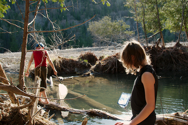 spring pond study