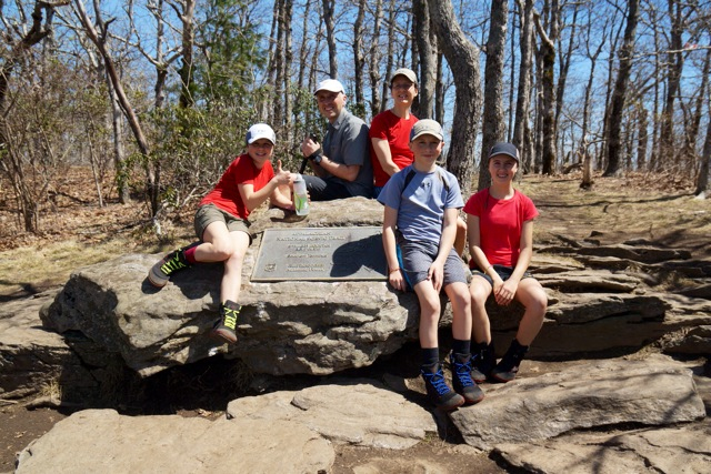 springer mountain