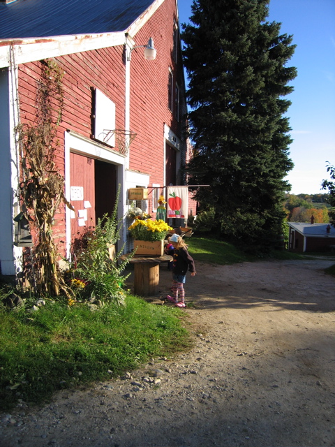 Stukas Apple Orchard