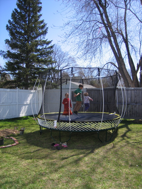 Trampoline in backyard