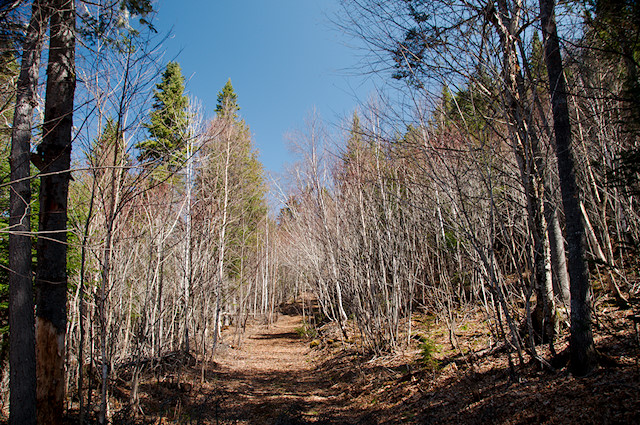 mountain trail