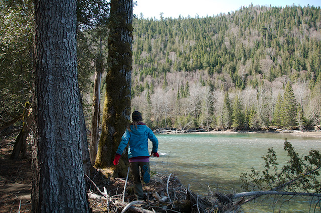 walking along petite cascapedia river