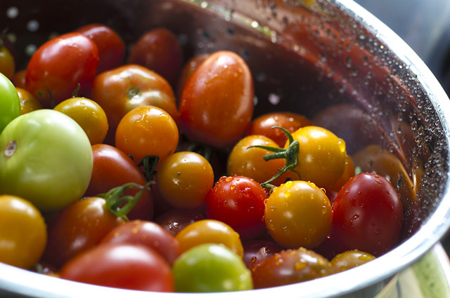 washing tomatoes