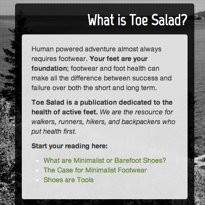 What is toesalad